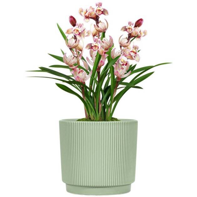 ceramic flower pot V-0006-1